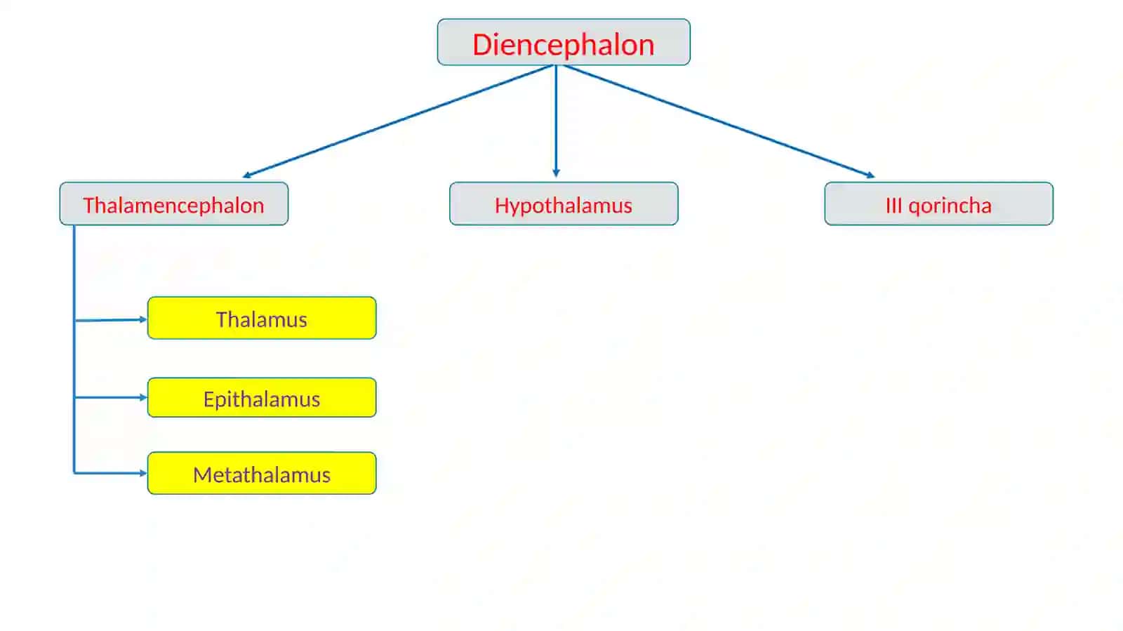 Oraliqmiya 3