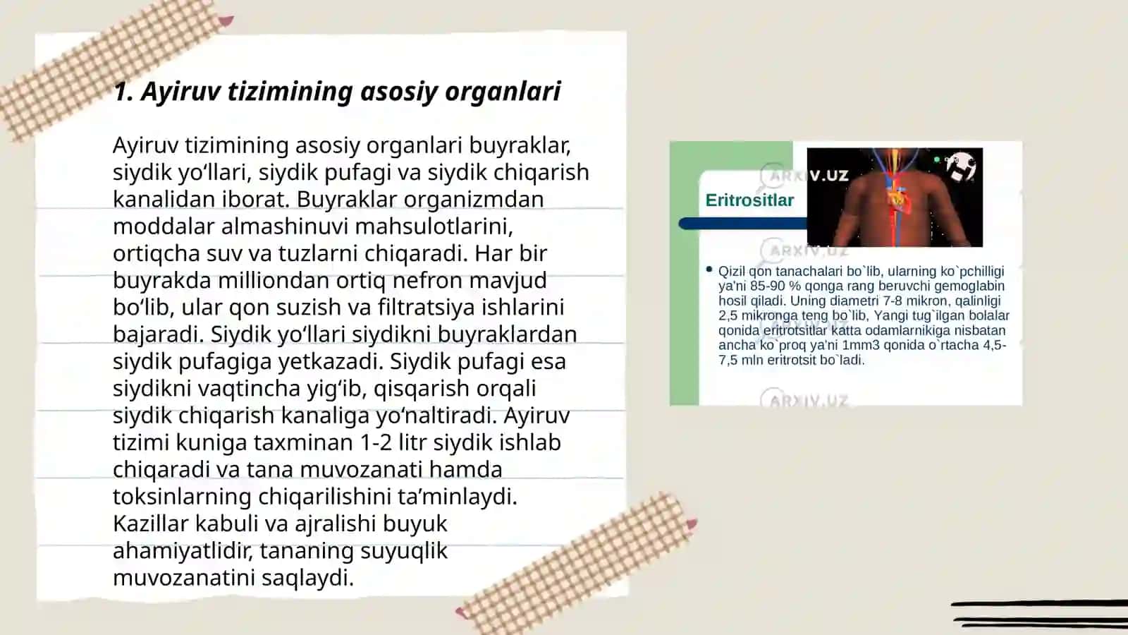 Ayiruv tizimining yosh xususiyatlari va gigiyenasi 3