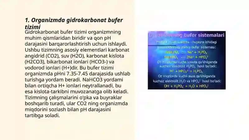 Organizmning bufer sistemalari 3