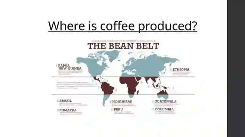 Coffee Culture 3
