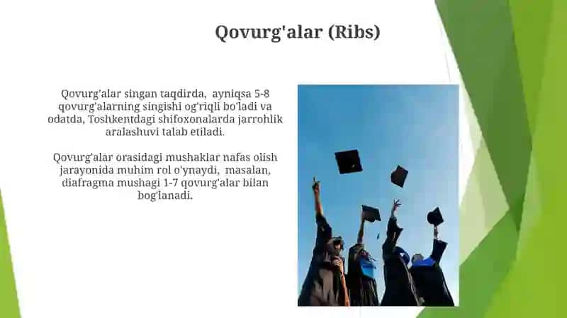 Qovurg'alar (Ribs) 3
