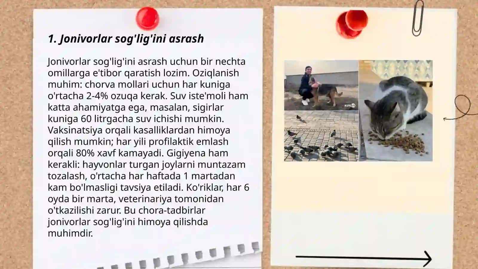 Jonivorlarga g'amxo'rlik qiling 3