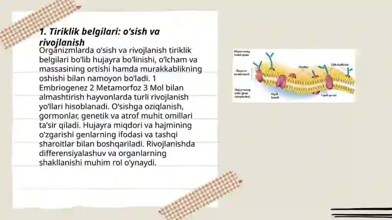 Tiriklik belgilari. Hayvonot olamining xilma-xilligi va uning tabiatda tutgan oʻrni 3