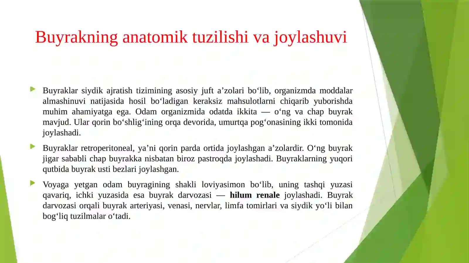 Buyrak anatomiyasi. Pielonefrit — buyrak jomi va buyrak to‘qimasining yallig‘lanishi. 3
