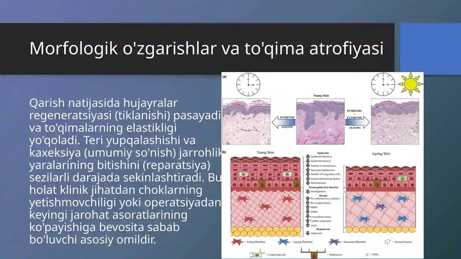 Tibbiyotka sbigakirish 3