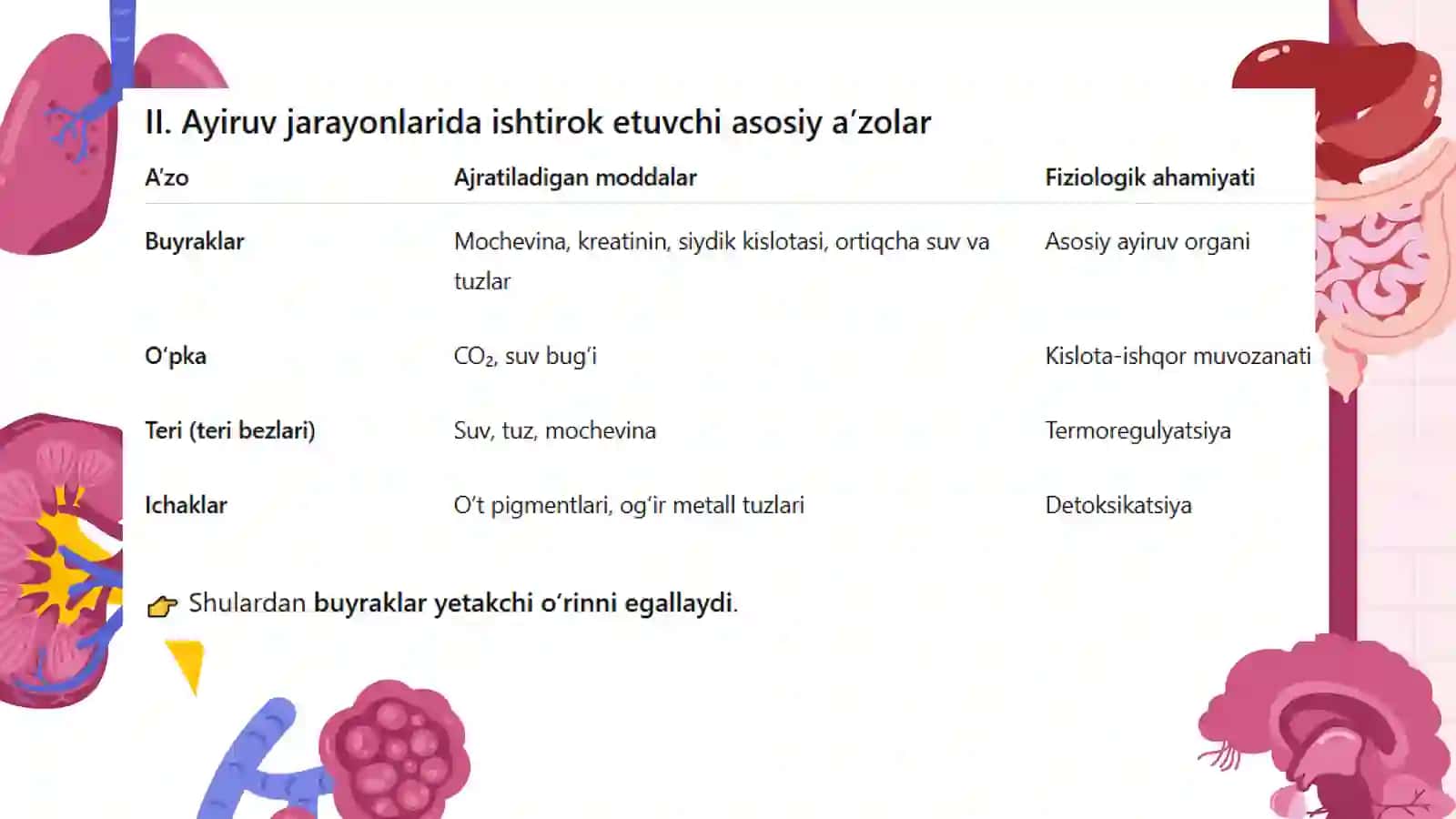 Ayiruv tizimining fiziologiyasi. Buyraklar funksiyalari. Organizmdagi ayiruv jarayonlari. Ichki muhit gomeostazida ishtiroki. Siydik hosil bo‘lish jarayonlari 3
