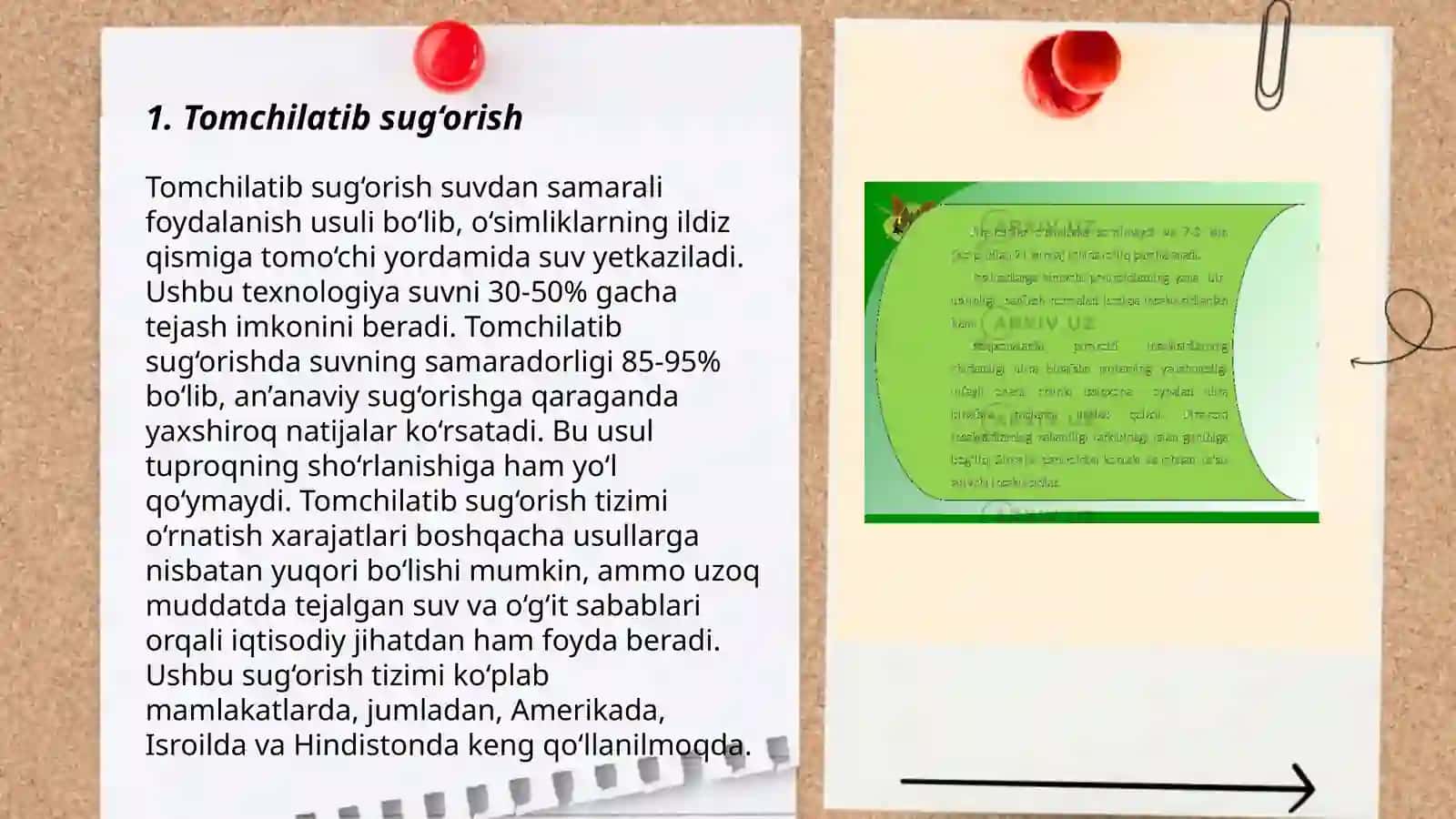 Bog‘dorchilikda qo‘llaniladigan sug‘orish usullari 3