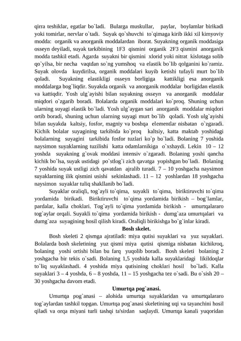 Tayanch – harakat apparati 3