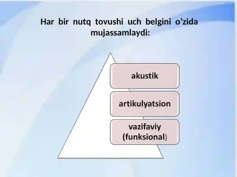 NUTQ ORGANLARI 3
