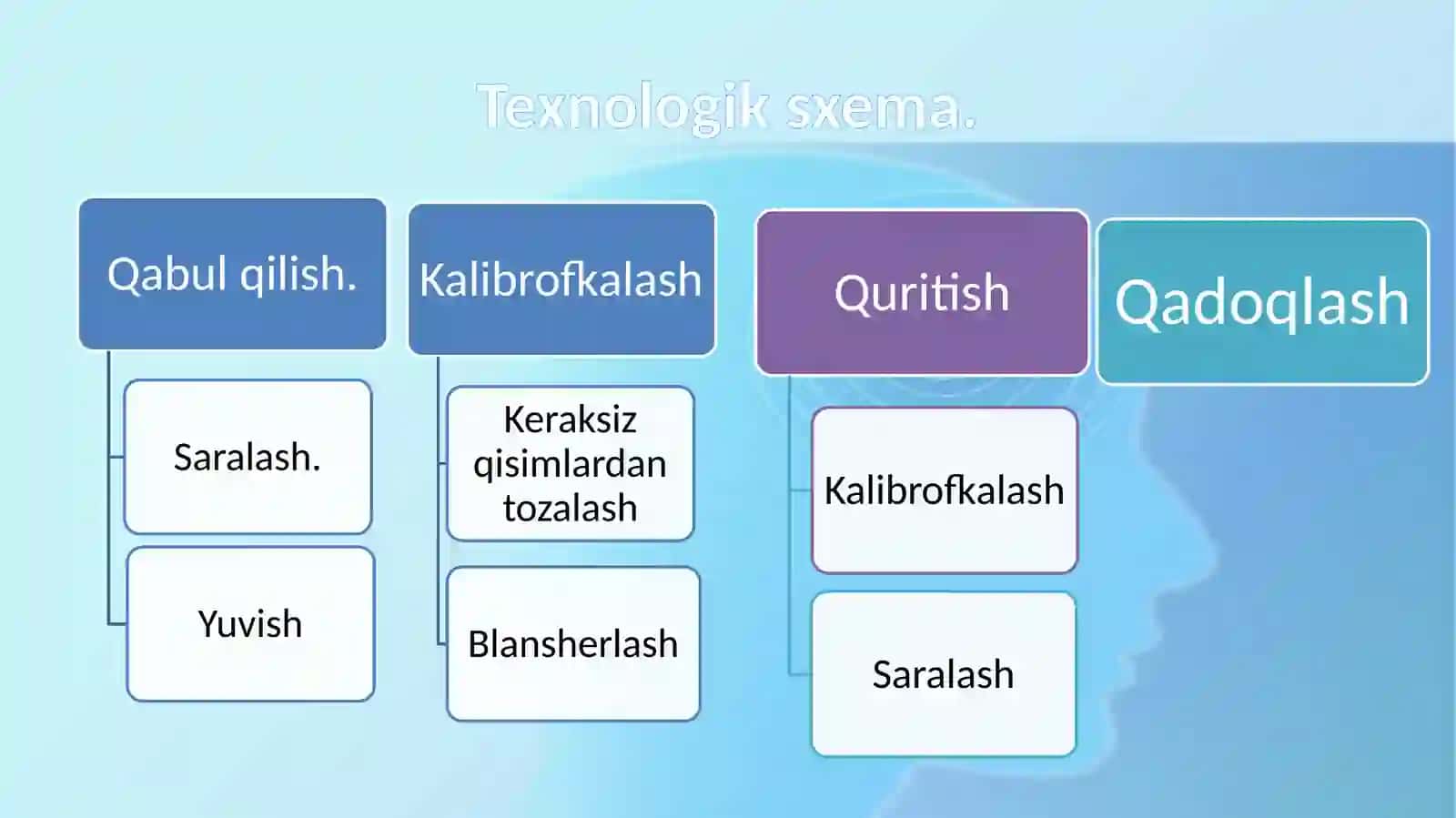 Olma me’vasini degidrator yordamida quritish 3