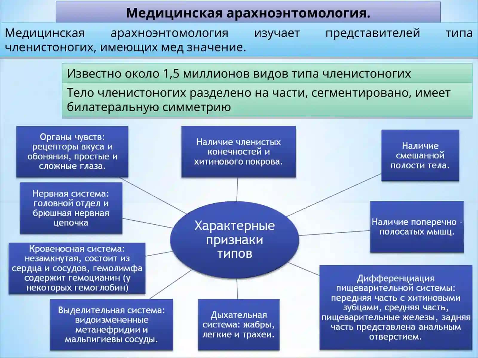 Медицинская арахноэнтомология 3