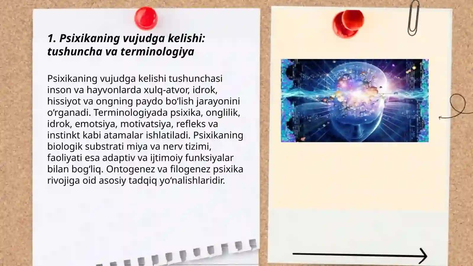 Psixikaning vujudga kelishi va evolutsiyasi 3