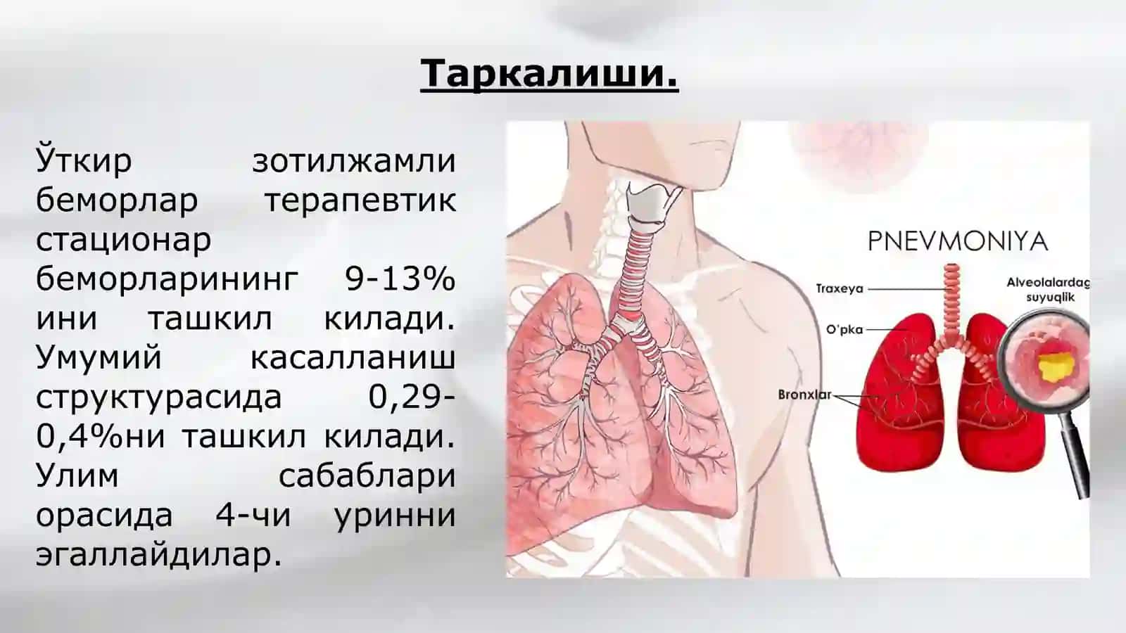 Зотилжам 3