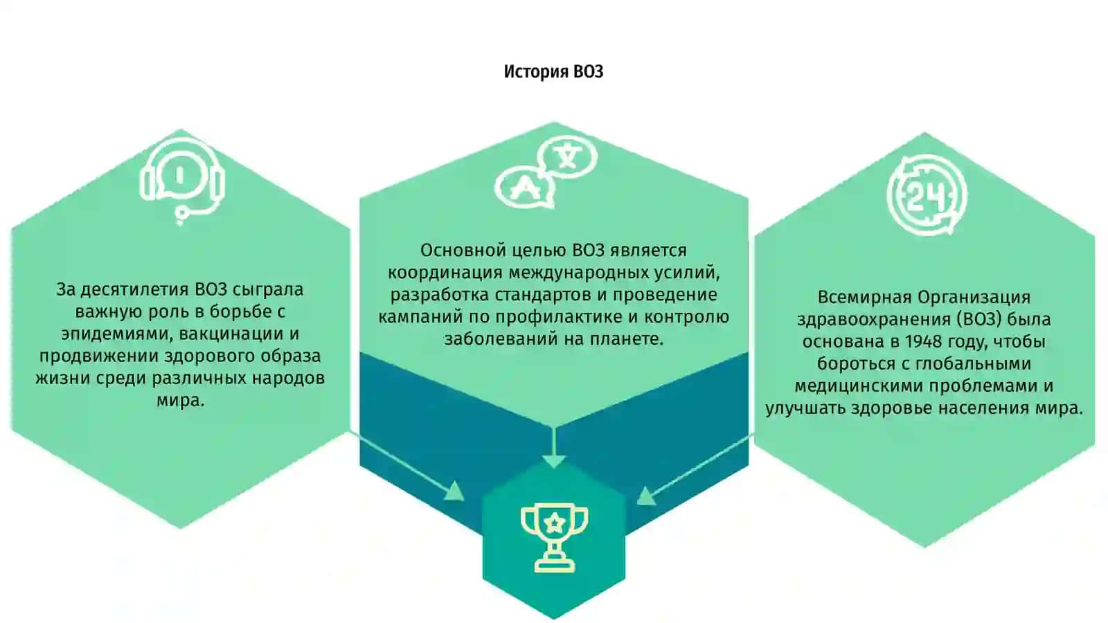 История ВОЗ 3