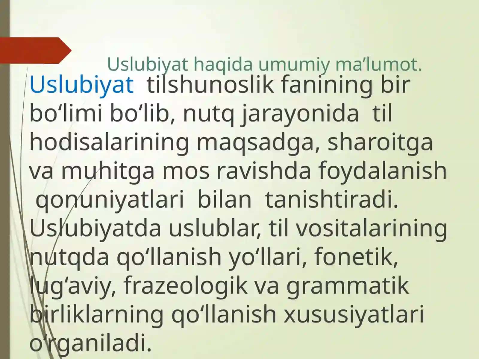 USLUBIYAT, USLUBIYATNI YUZAGA KELTIRUVCHI VOSITALAR, USLUB TURLARI 3