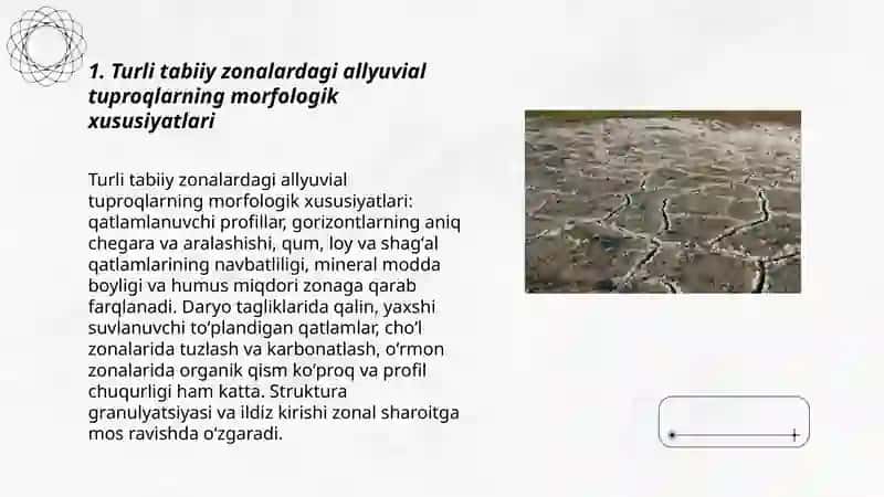 Turli tabiiy zonalardagi allyuvial tuproqlarning xususiyatlari 3