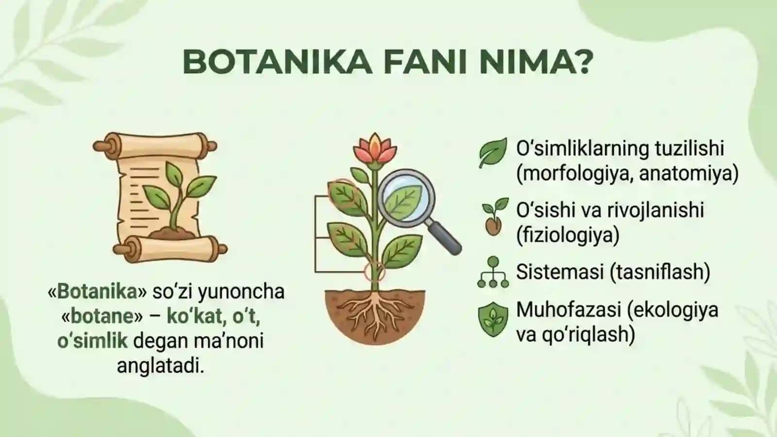 Botanika: O'simliklar haqidagi fan 3