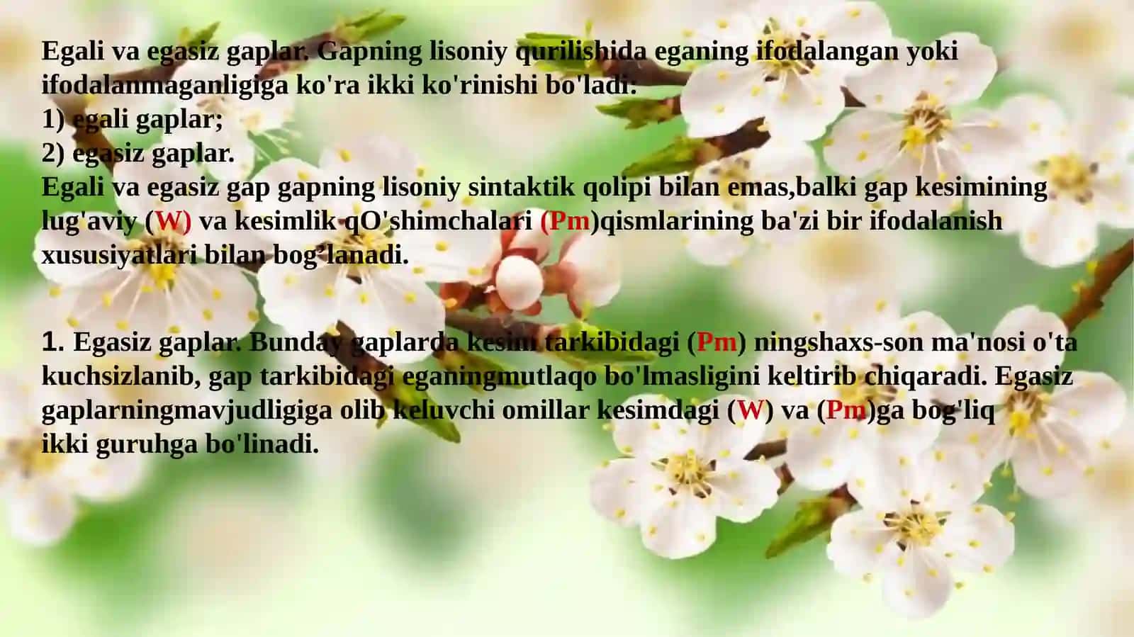 Ega va uning ifodalanishi 3