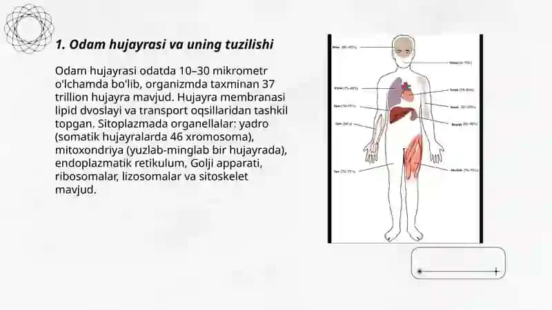 Odam organizmining tuzilishi va salomatligi 3