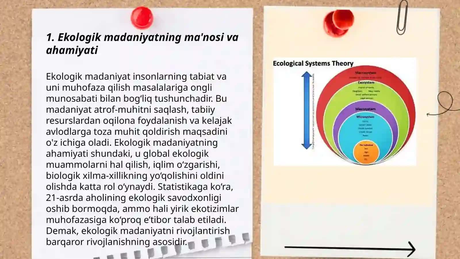 Ekologik madaniyatni shakllantirishni o'rganish metodikasi 3
