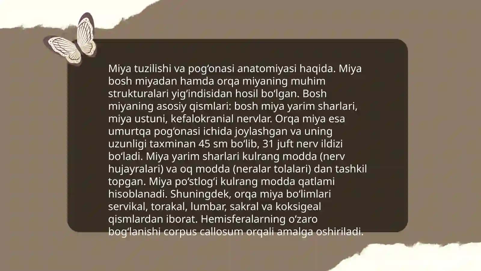 Miya pog‘onasi o‘zaklari va ularning klinik ahamiyati 3