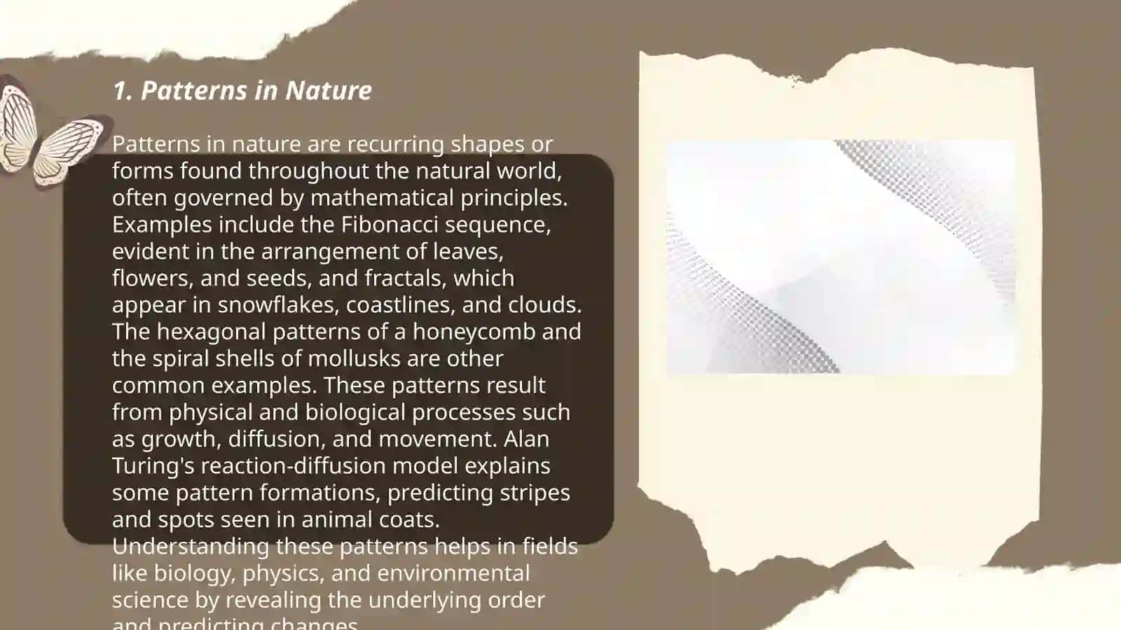 Patterns in Nature 3