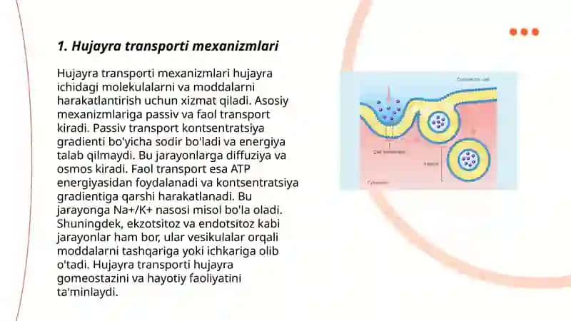 Hujayra transporti 3