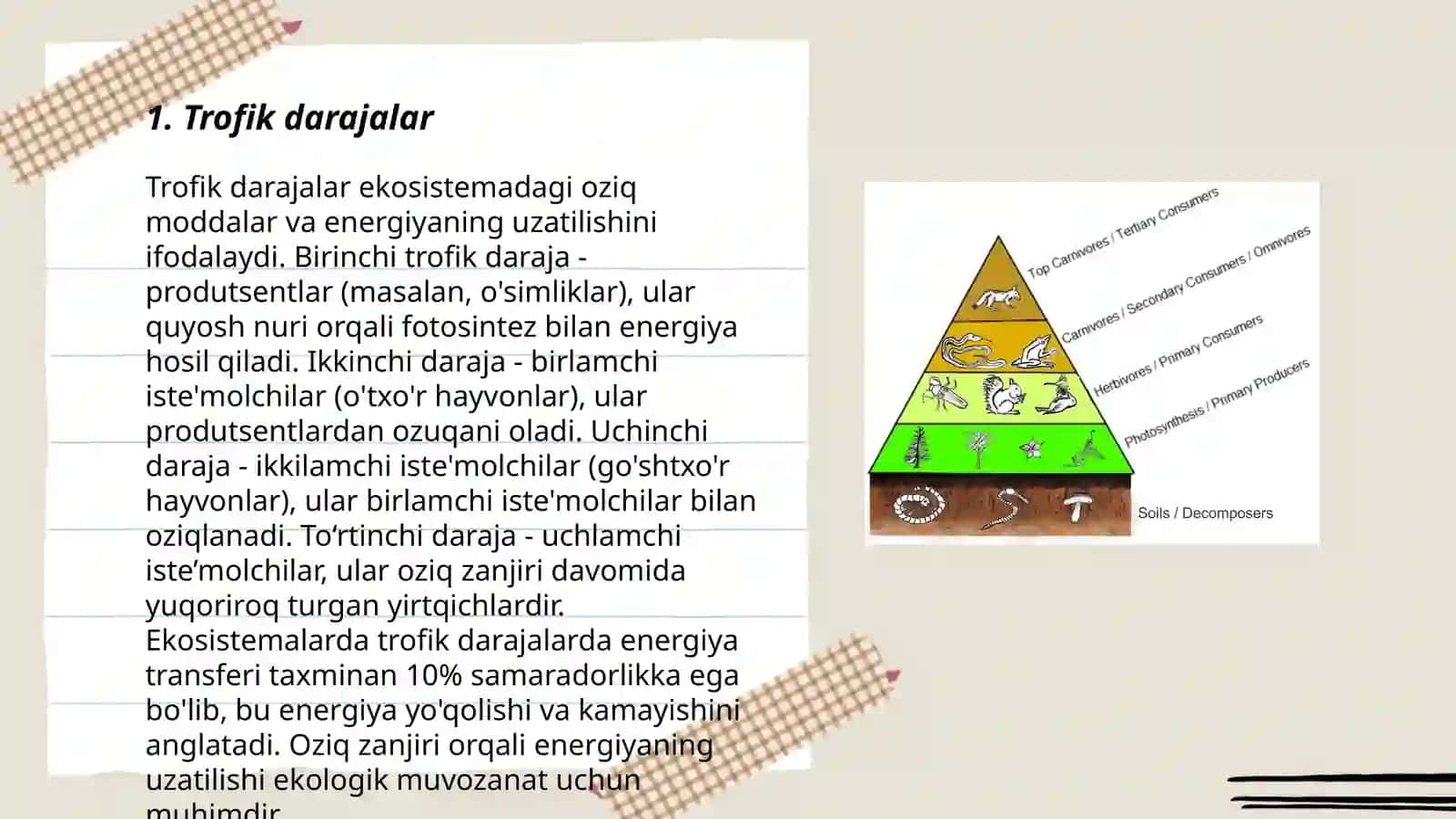 Ekotizimlarning trofik strukturasi 3