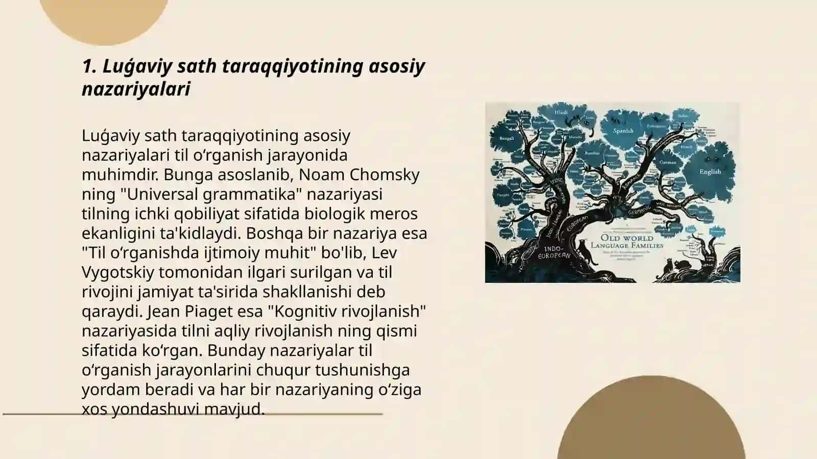 Luģaviy sath taraqqiyotining asosiy nazariyalari 3