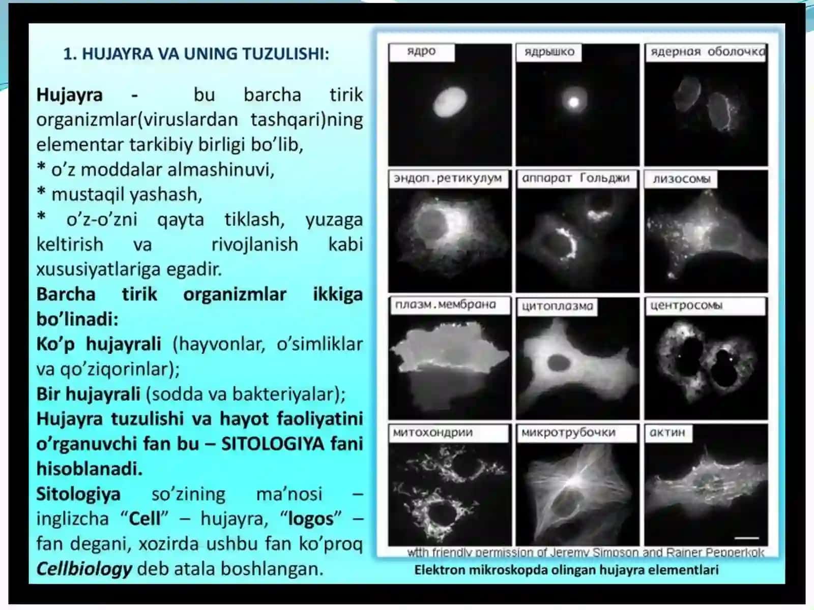 Hujayradamoddalar energiyama’lumotlar 3