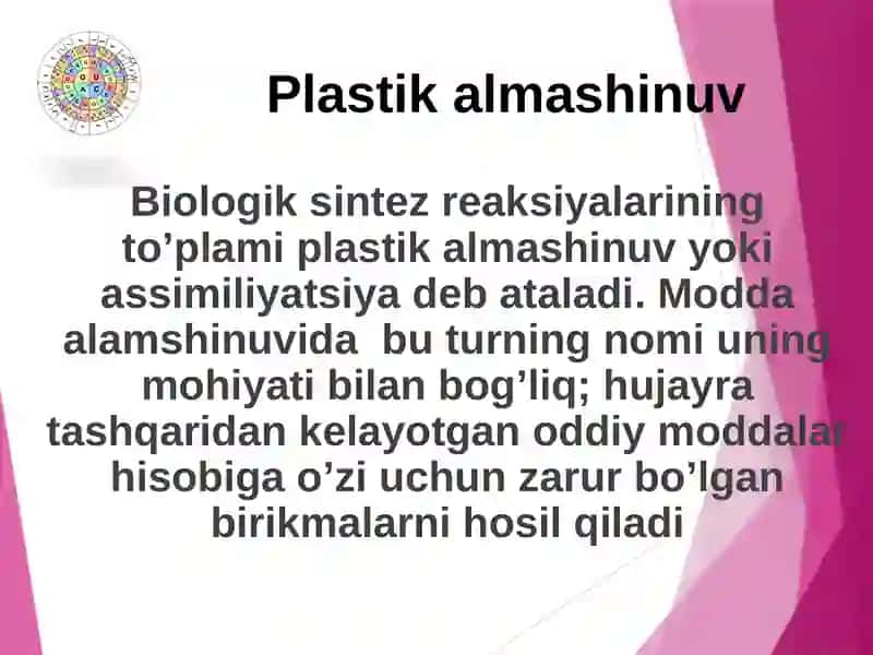 Plastikalmashinuv 3