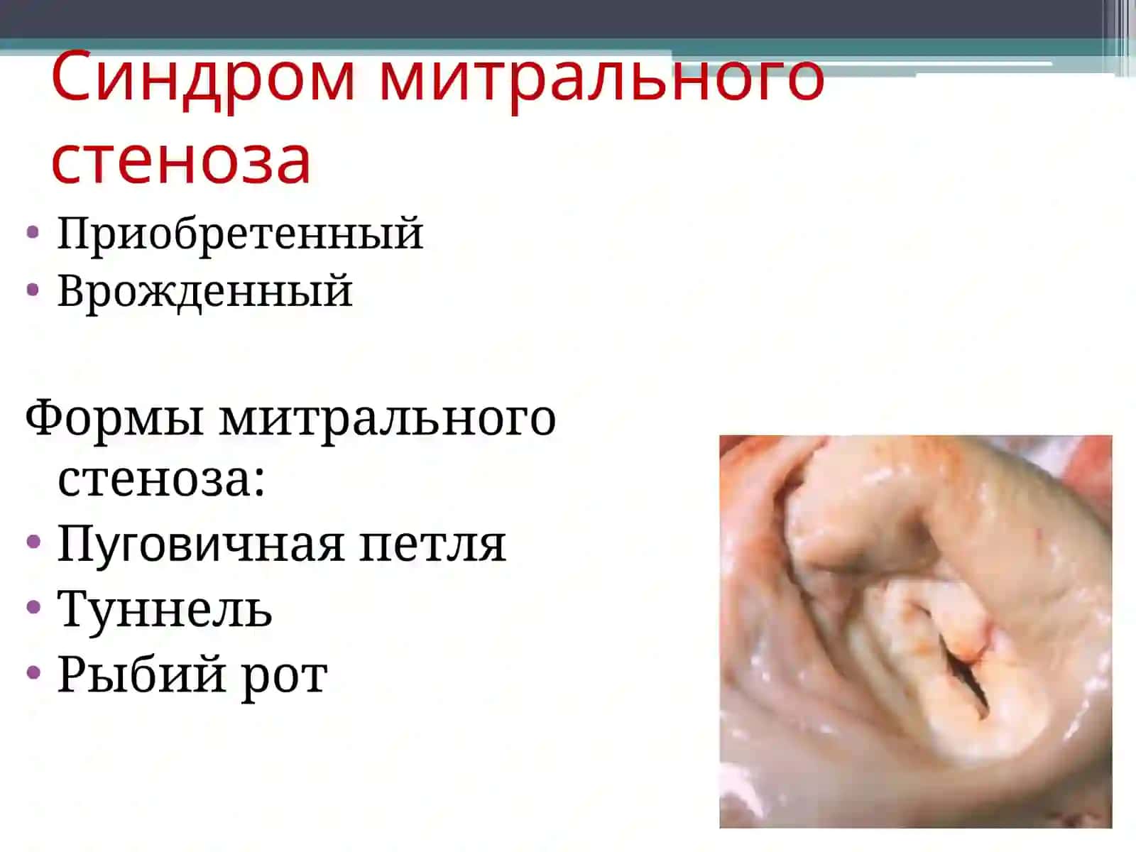 Пропедевтика внутренних болезней 3