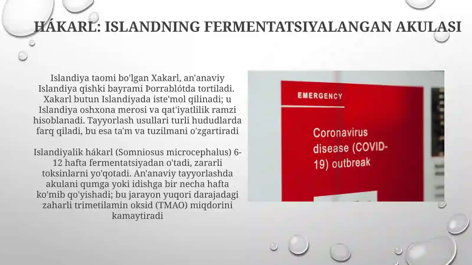 Hashairotli taomlar 3