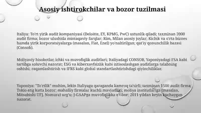 Italiya va Yaponiya mamlakatlarining auditorlik tashkilotlari faoliyati to'g'risida 3