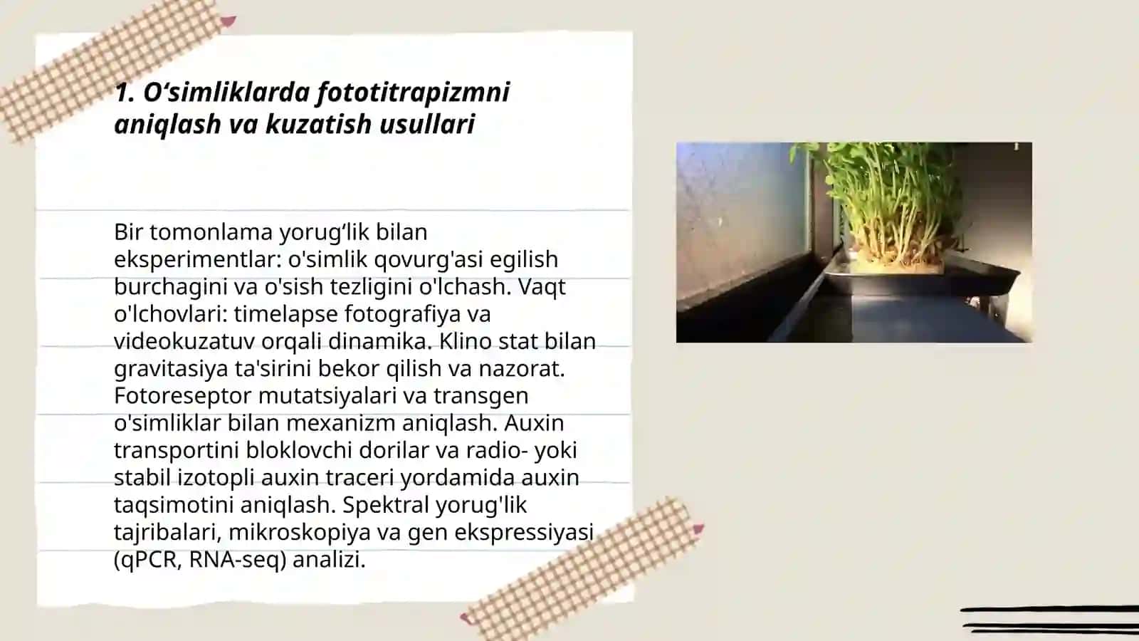 Oʻsimliklarda fototitrapizm fotonastiya va geotropizm hodisalarini kuzatish 3