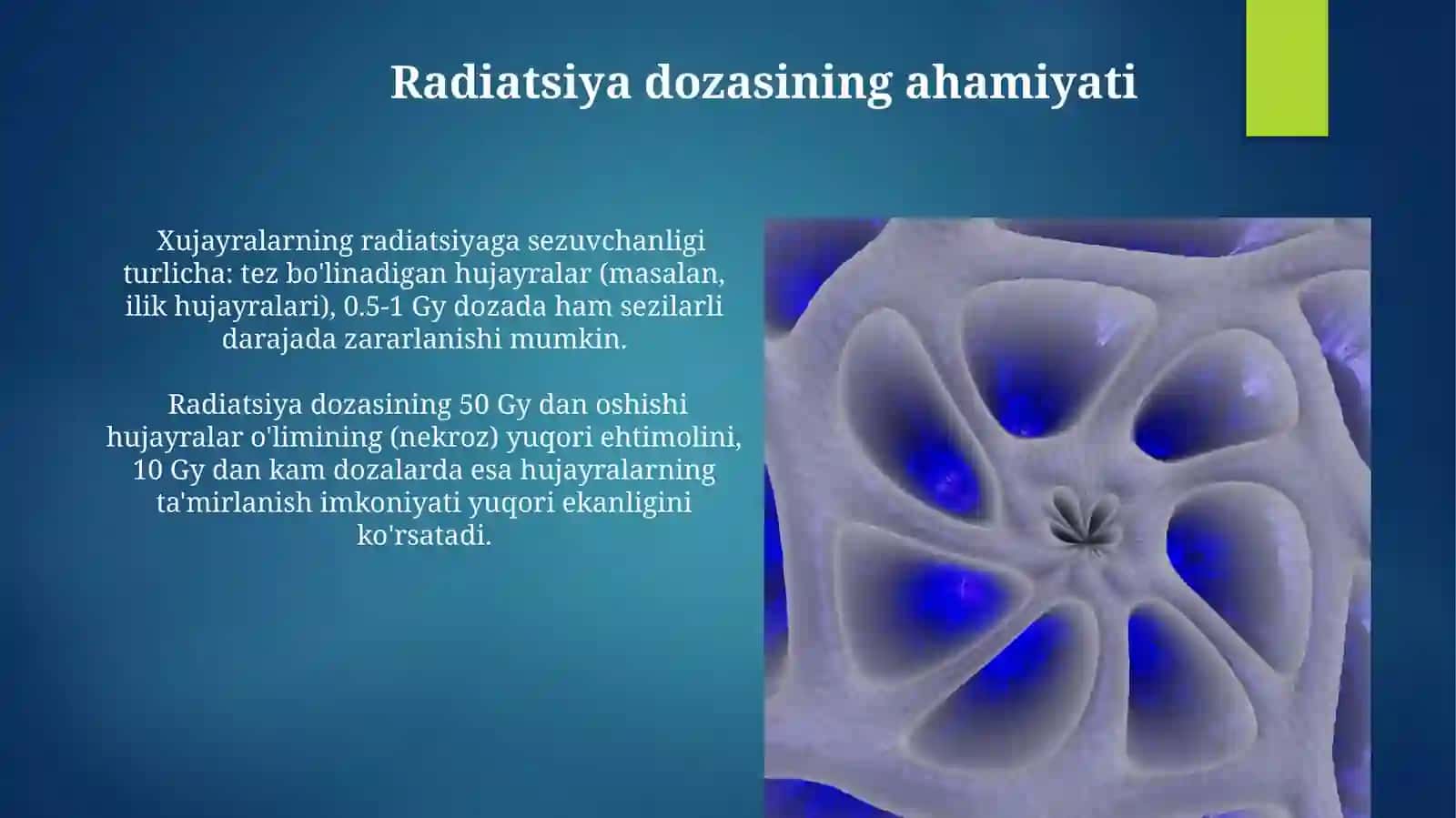 Ionlashtiruvchi nurlarni hujayraga ta’siri 3