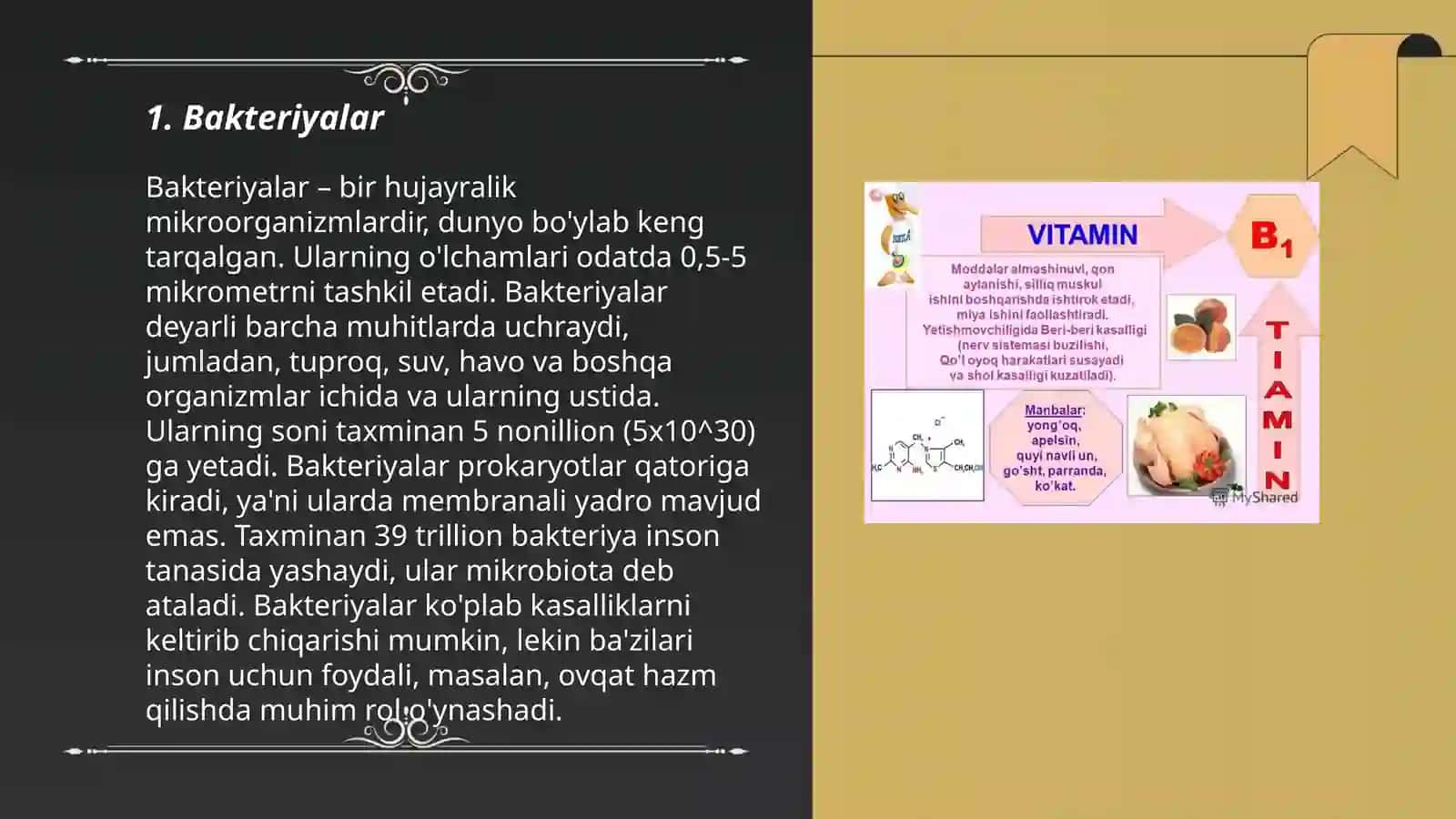 Bakteriyalar 3