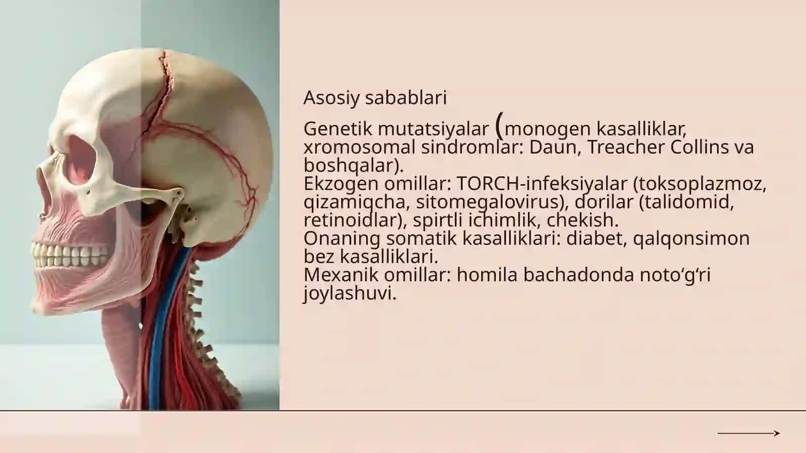 Bosh va bo'yin tuģma rivojlanish nuqsonlari 3