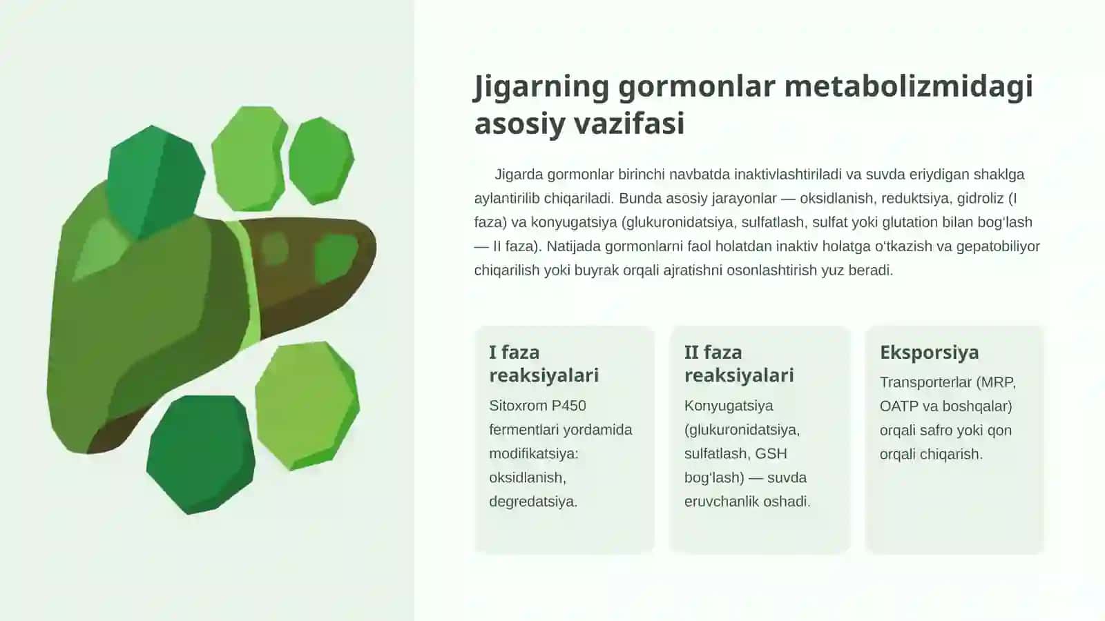Jigarda gormonlarning zararsizlantirilishi: Klinik ahamiyat 3