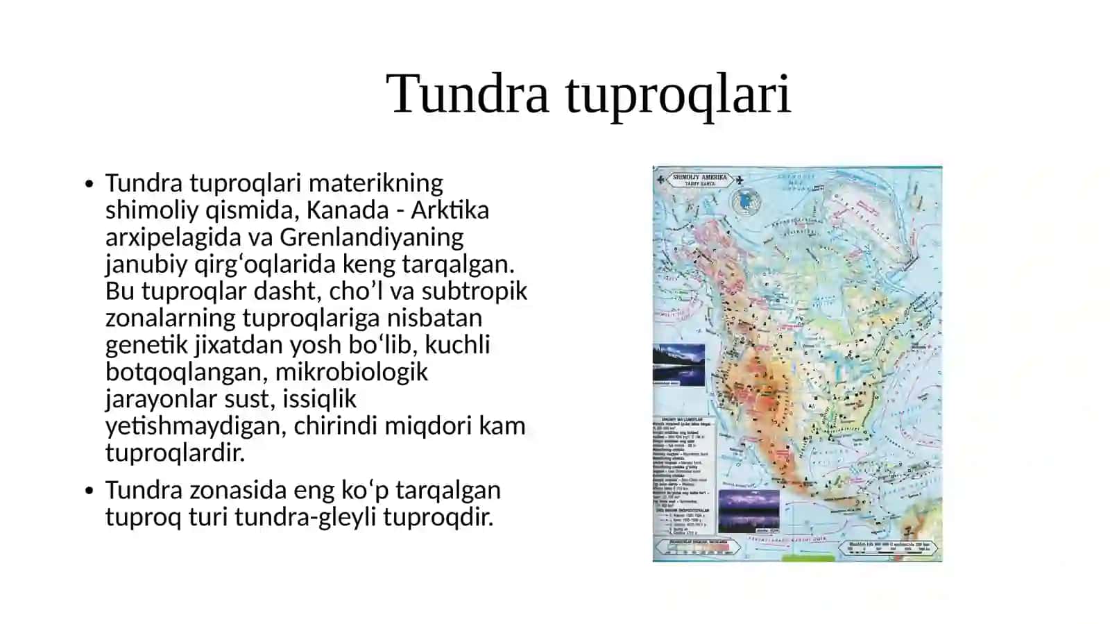 Shimoliy Amerikaning tuproq qoplami tarqalishi 3