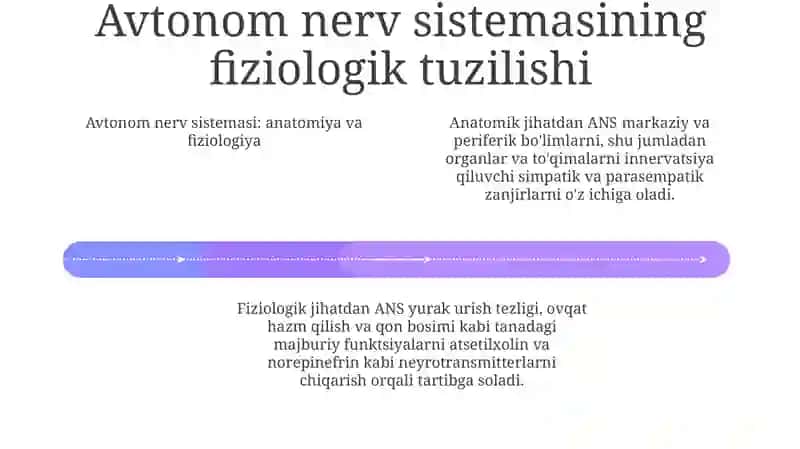 Nerv Sistemasining Vegetativ Avtonom Qism 3