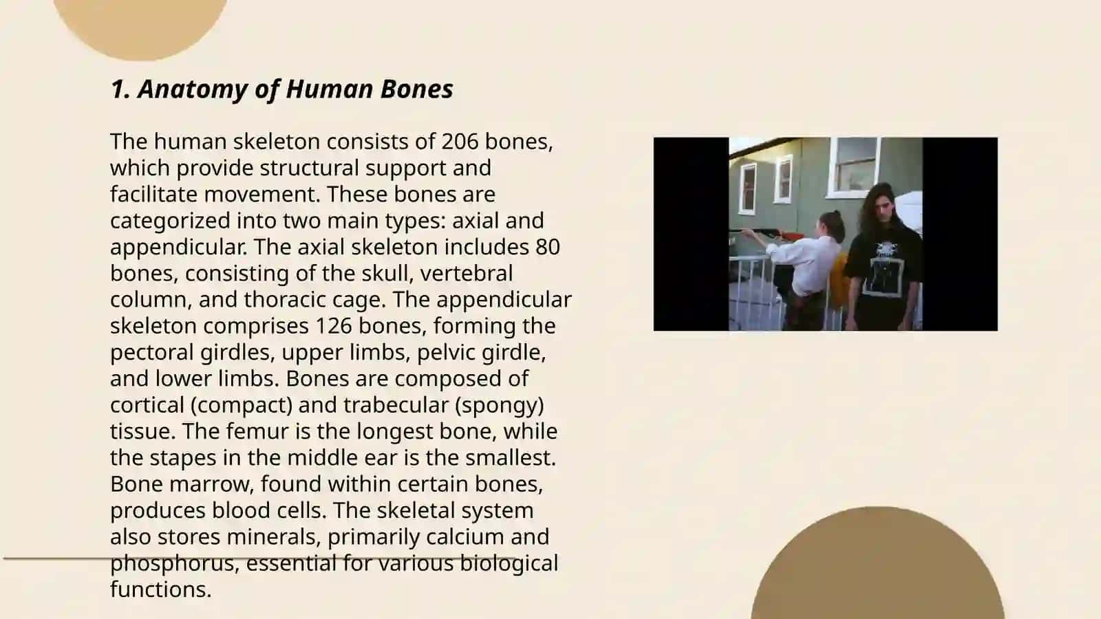 Bones 3