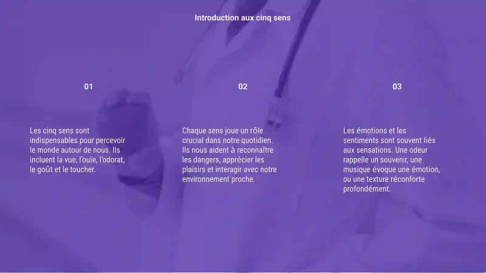 Les sens, les sentiments et les emotions 3