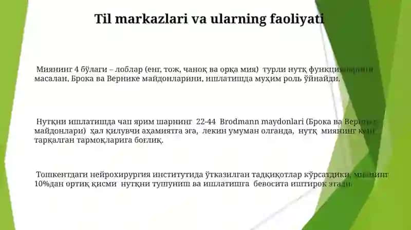 Головной мозг.Стили речи 3
