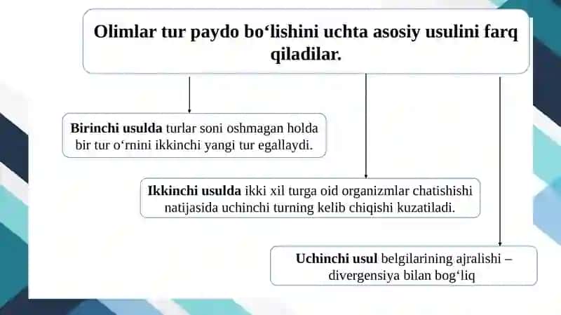Turlarning paydo bo`lishi 3