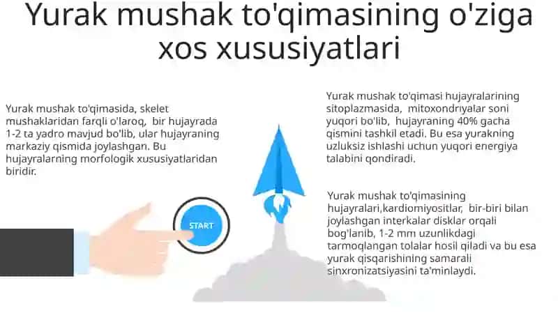 Muskul toʻqimasi gistologiyasi 3