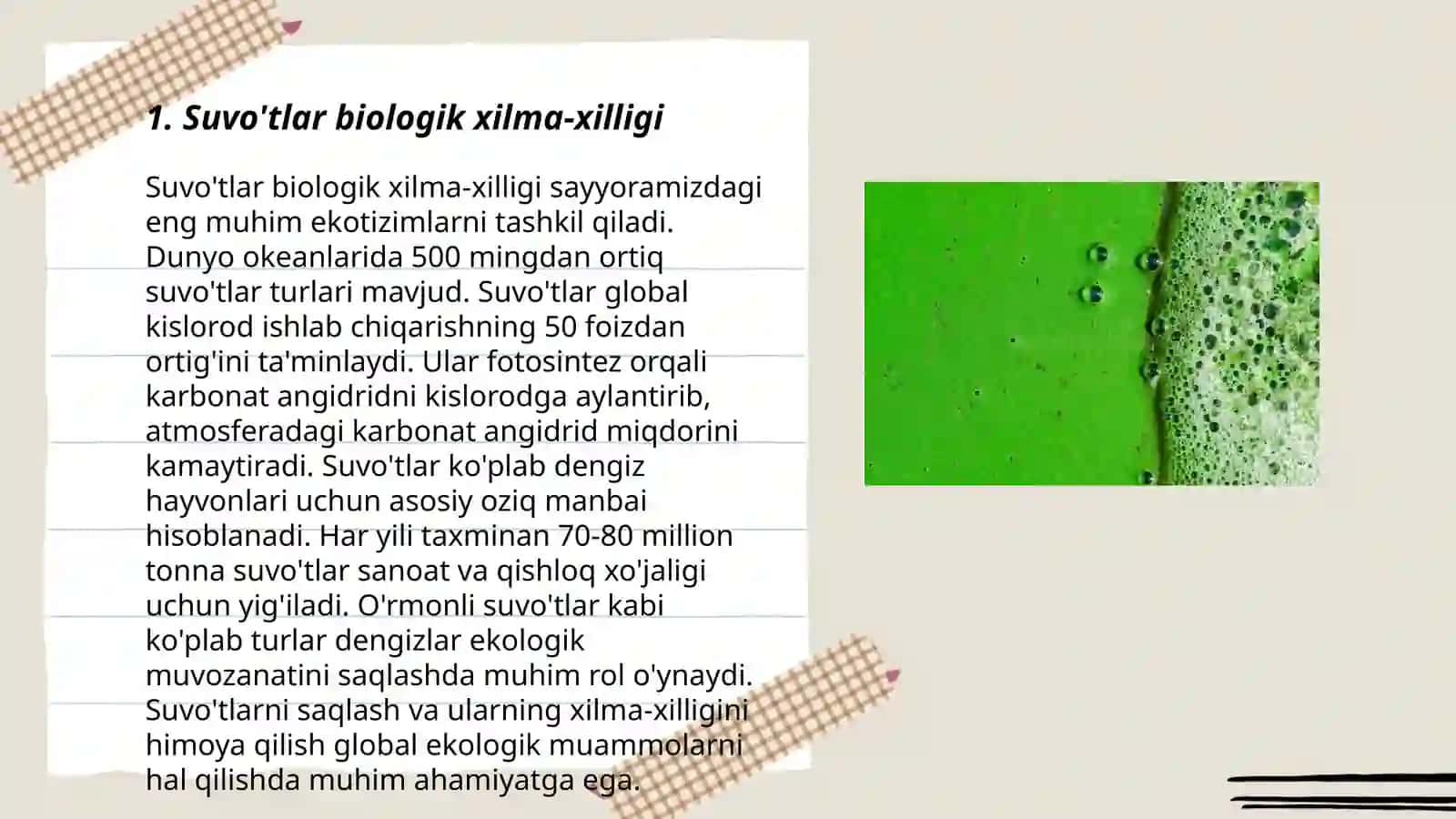 Suvo'tlar biologik xilma-xilligi 3