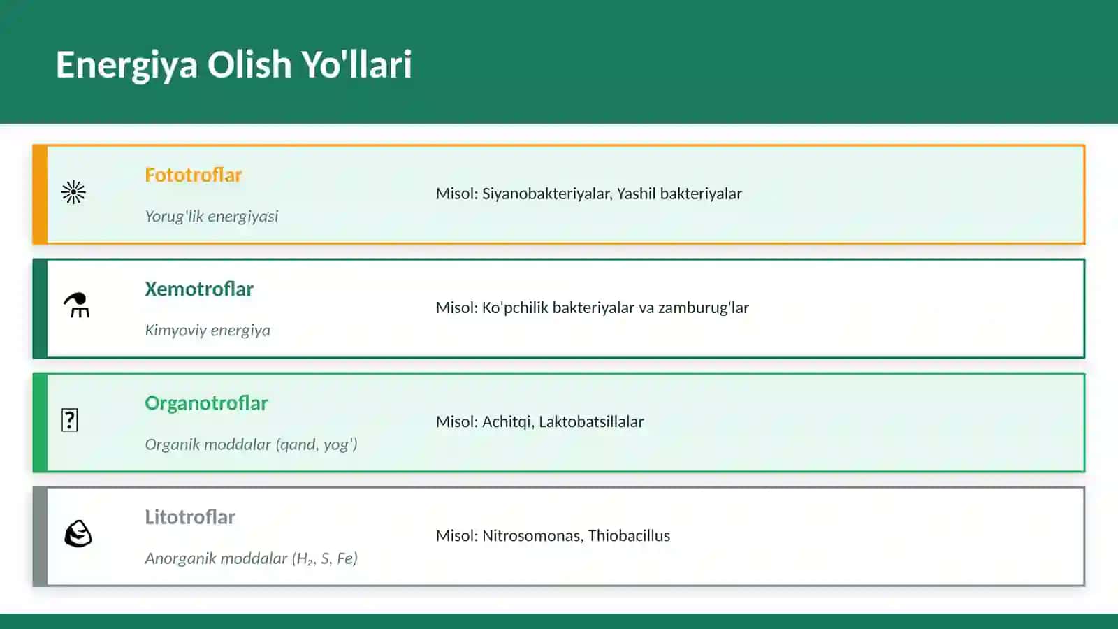 MIKROORGANIZMLARDA Energiya Olish va Fermentatsiya 3