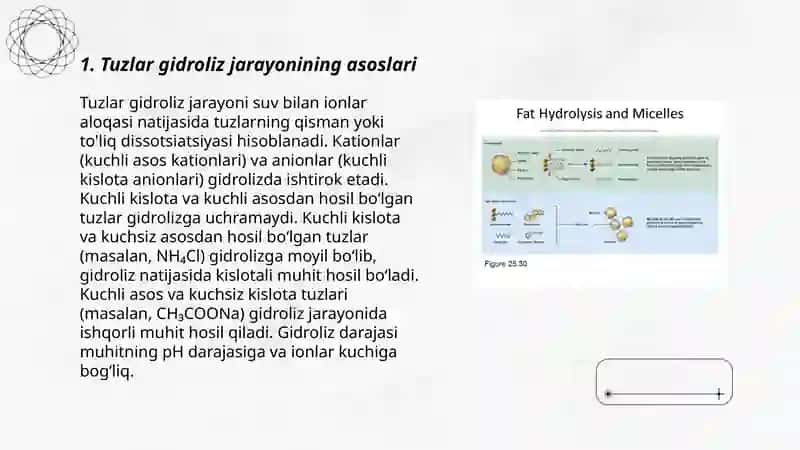 Tuzlar gidroliz jarayoni va ion almashinish reaksiyalari 3