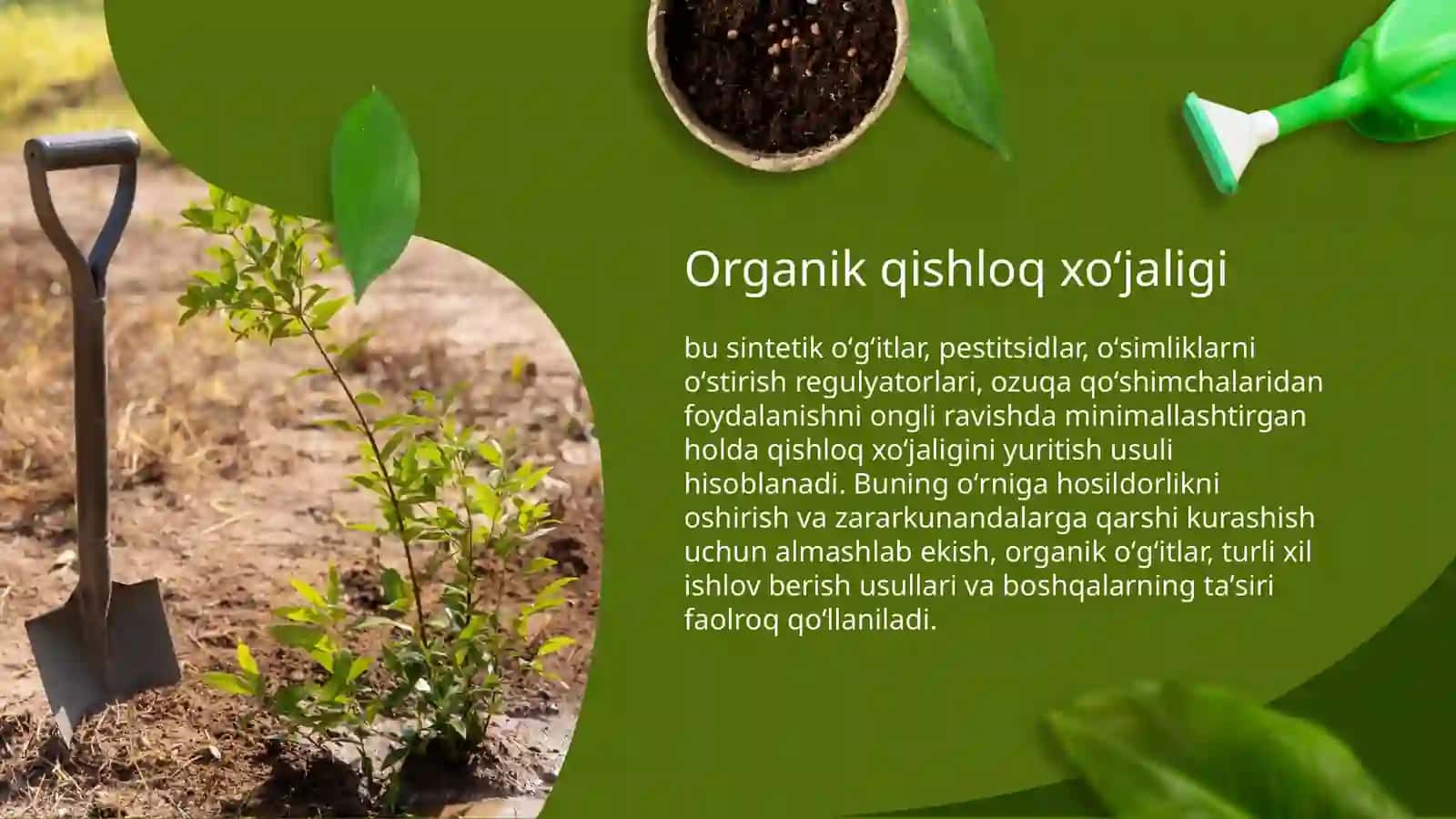 O’zbekistonda organik qishloq xo’jaligini rivojlantirishning ustuvor yo’nalishlari 3